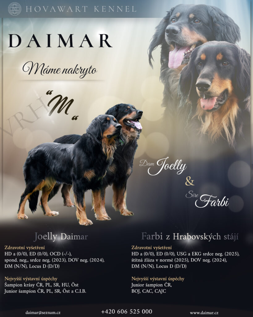 Letáček s infografikou o oznámení nakrytí  fenky Joelly Daimar plemene hovawart