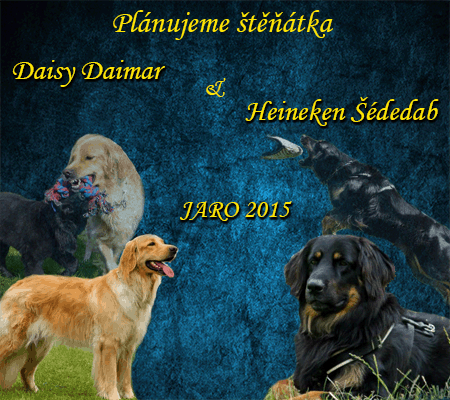 Štěňátka 2015